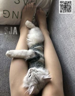 国产智能纸尿裤价格_蓝光电影在线看